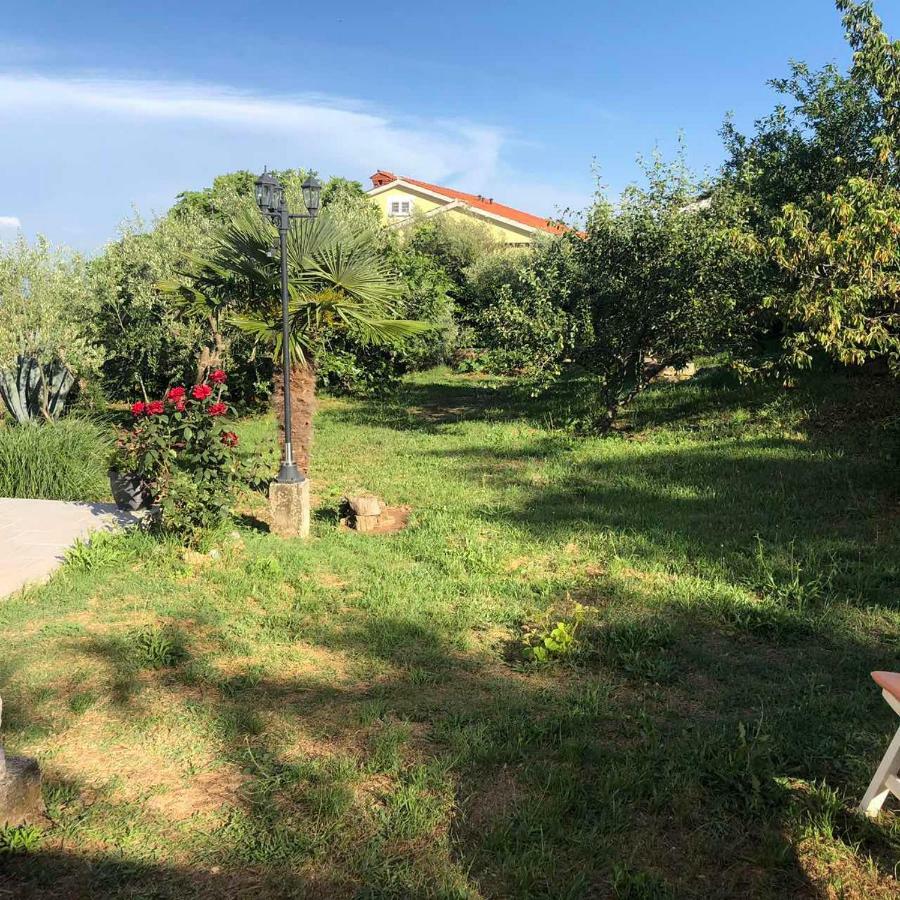 Villa Divna Labin  Exteriör bild